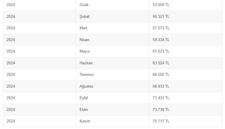 istanbulda yasama maliyeti 45 minimum fiyata denk 76 bin liraya dayandi 0 qTIA8Ird