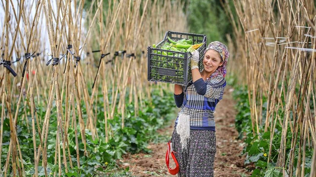Bakan Yumaklı duyurdu: Çiftçiye yüzde 70 güç desteği!