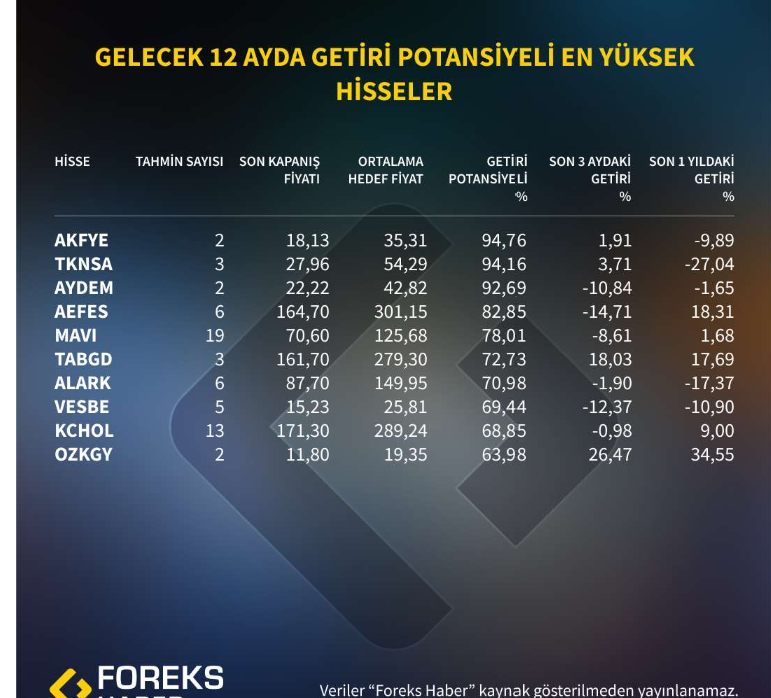 Gelecek 12 Ay İçin Hedef Fiyat Analizi