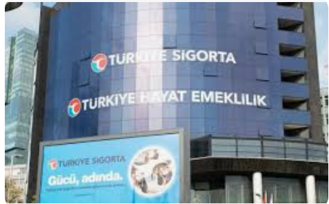 Türkiye Sigorta’nın 2024 Performansı ve Pazar Analizi