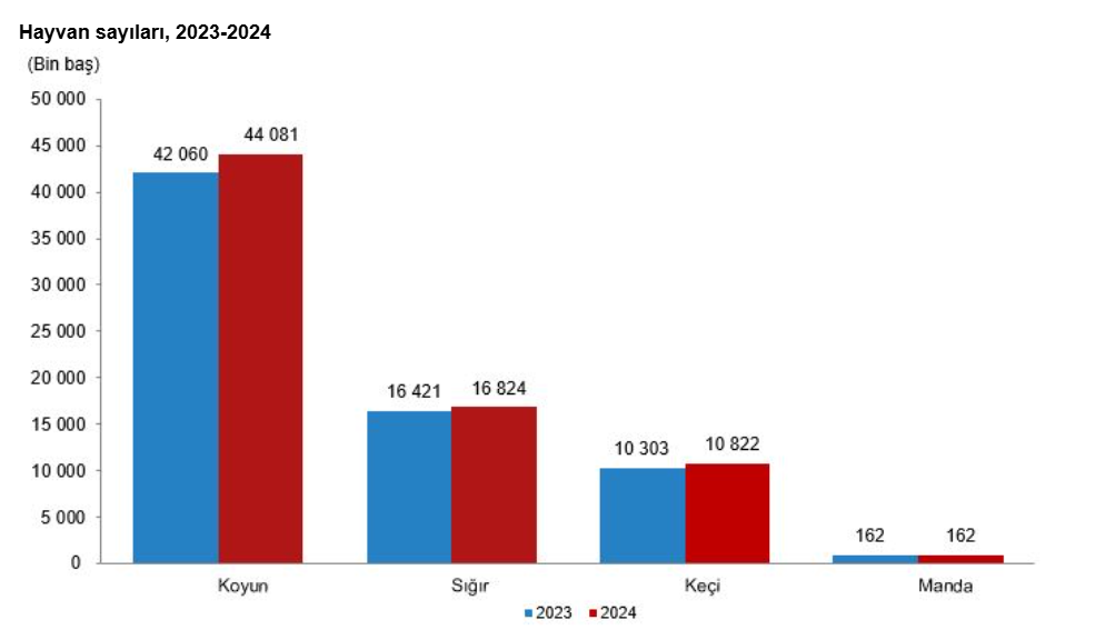 2024 Yılı Hayvansal Üretim İstatistikleri Açıklandı