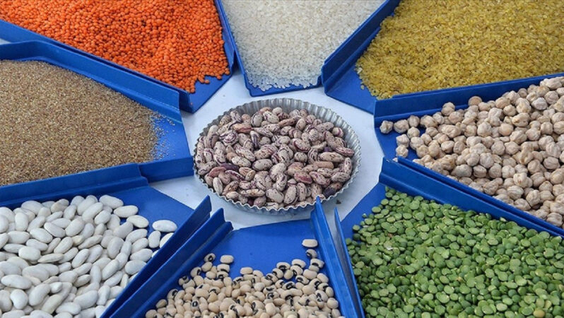 Hububat, Bakliyat ve Yağlı Tohumlar Sektörünün Ocak İhracatı ve Gelişmeler