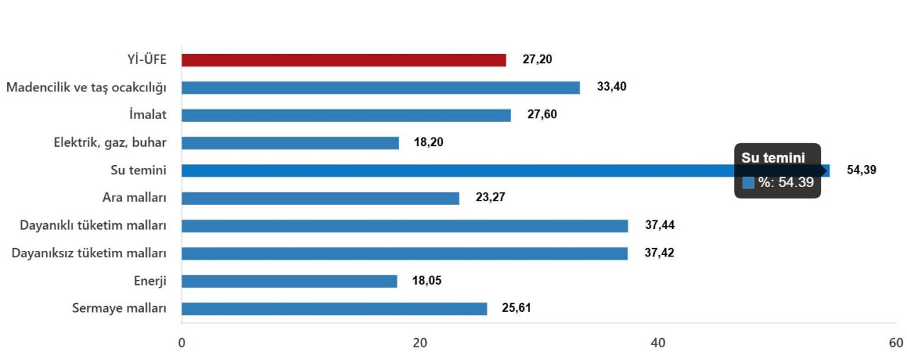 Ocak 2025 Yurt İçi Üretici Fiyat Endeksi Verileri