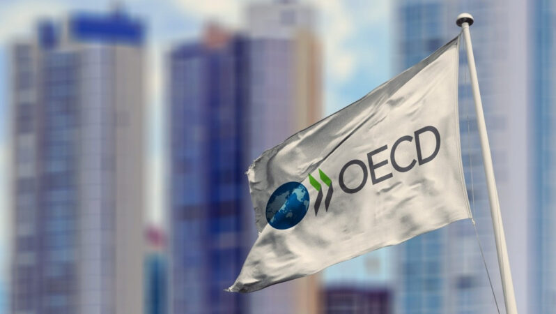 OECD: Türkiye, en süratli büyüyen ikinci ülke oldu