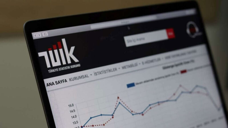 TÜİK Enflasyon Sepeti Güncellemeleri: Yeni Maddeler ve Değişiklikler