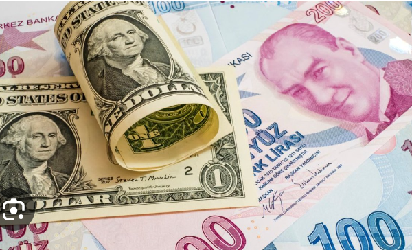 Türk Lirası Reel Döviz Kuru Endeksi 5 Aydır Artış Gösteriyor