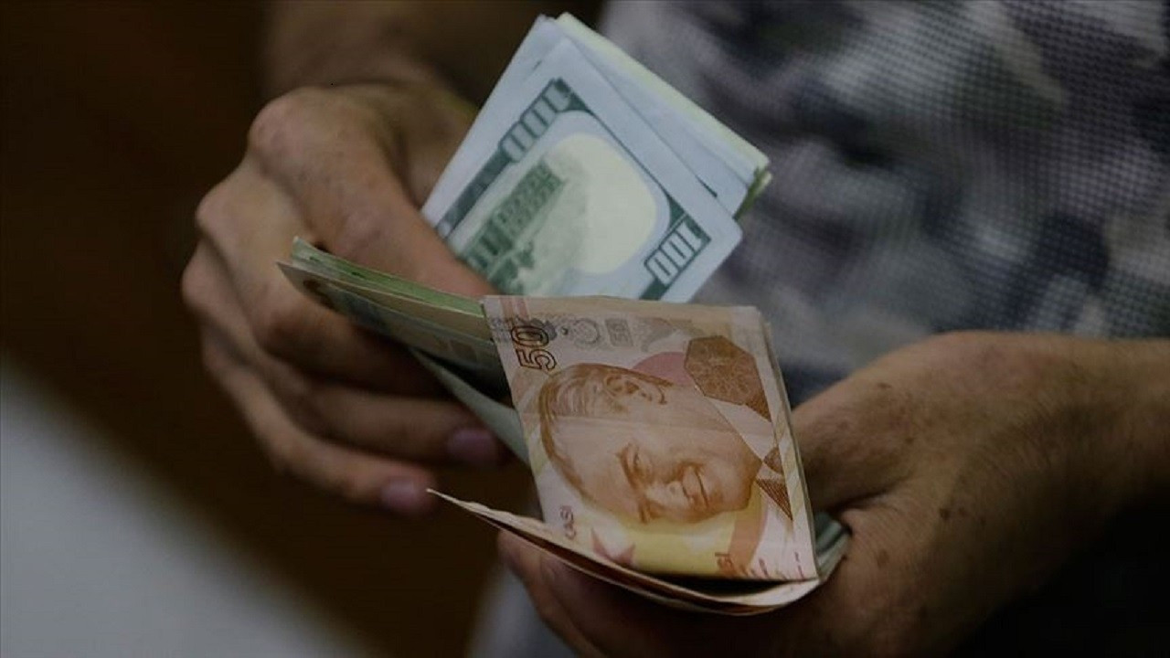 Türkiye Cumhuriyet Merkez Bankası’nın Döviz Kuru Endeksi Verileri