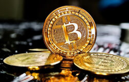 El Salvador Devlet Başkanı Bukele: Bitcoin alımlarına devam edeceğiz